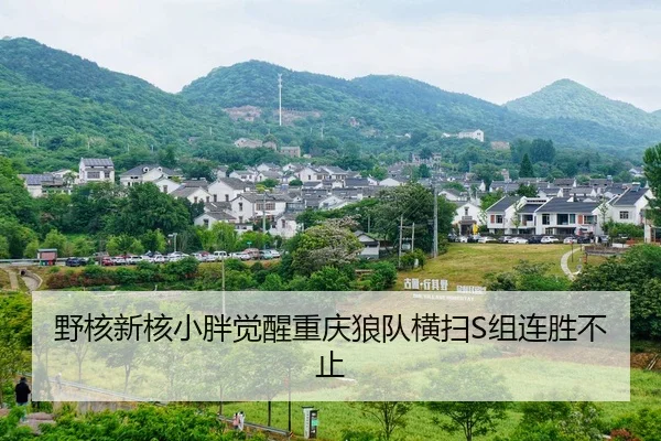 ye-he-xin-he-xiao-pang-jue-xing-chong-qing-lang-dui-heng-sao-zu-lian-sheng-bu-zhi-2-982.jpg
